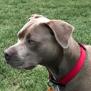 Meet your Posher, Sheila